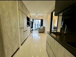 The Rise @ Oxley (D9), Condominium #472175801